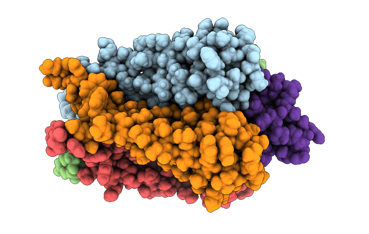 2A9H image