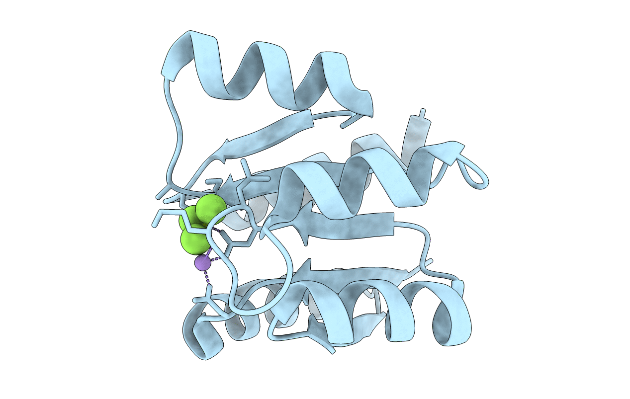 2A9P image