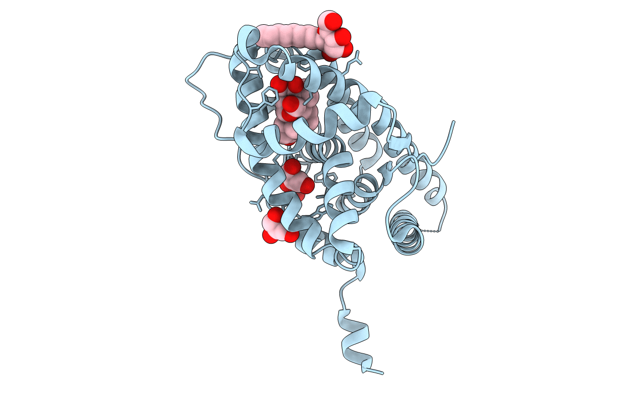2AA2 image