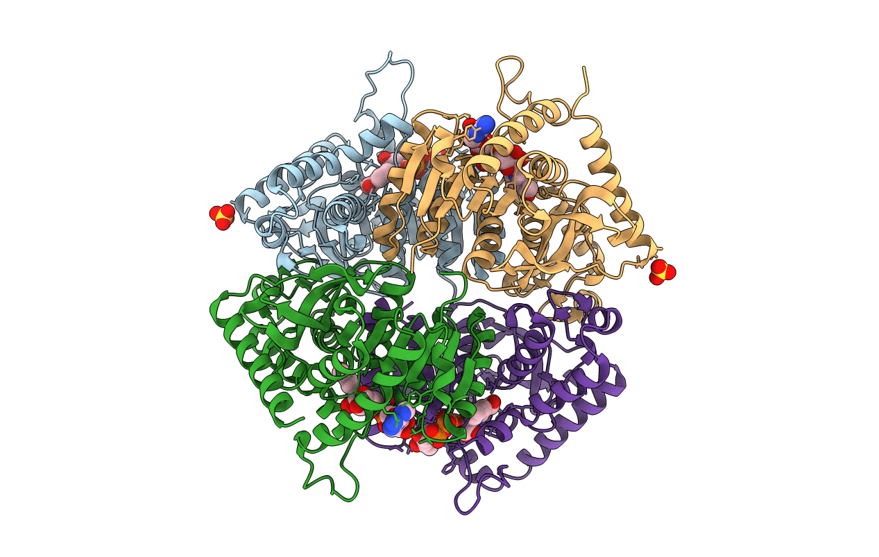 2AA3 image