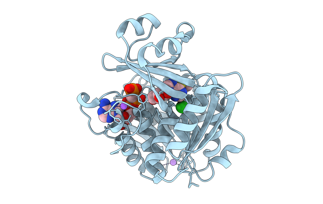 2AB8 image