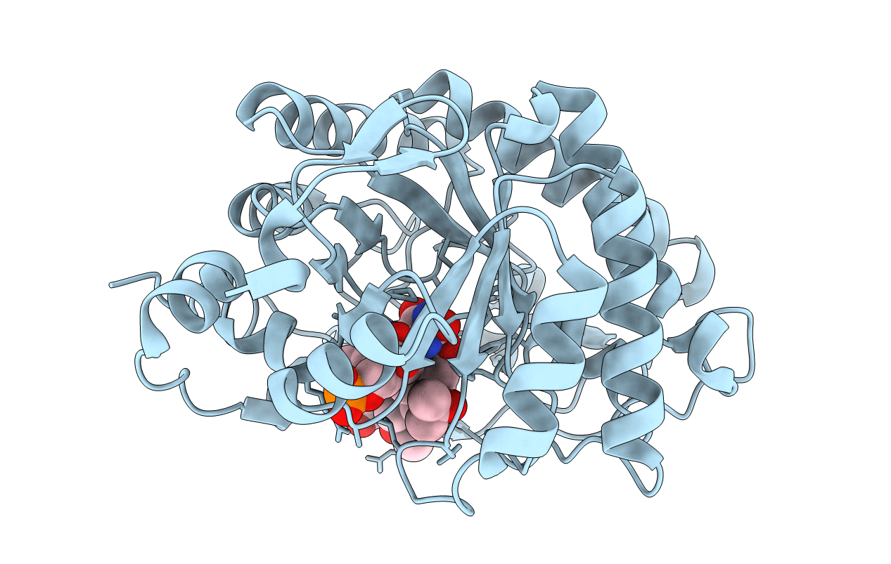 2ABA image