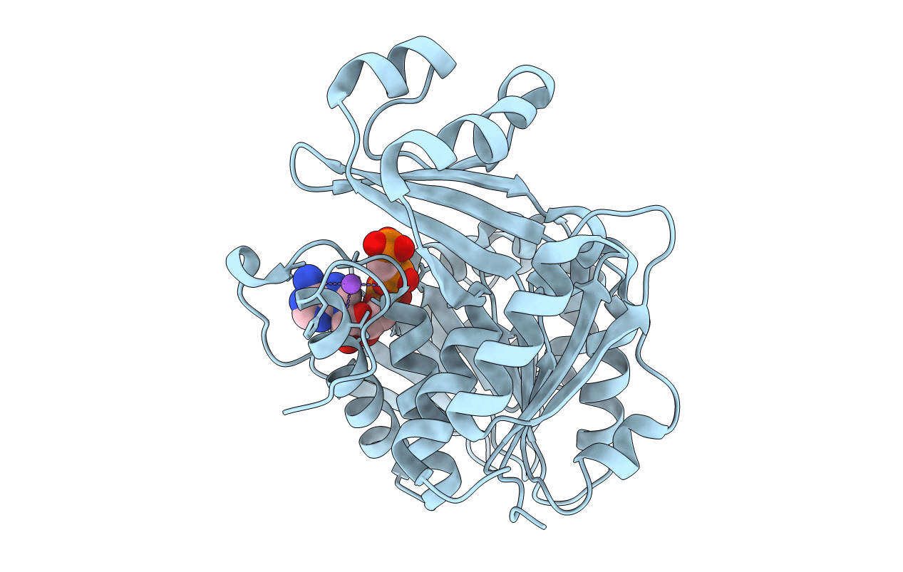 2ABS image