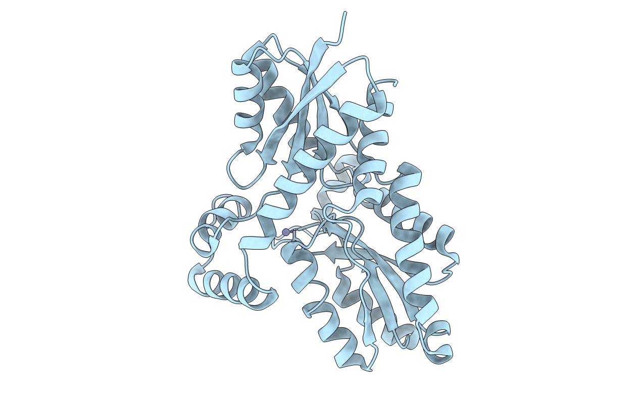 2AC2 image