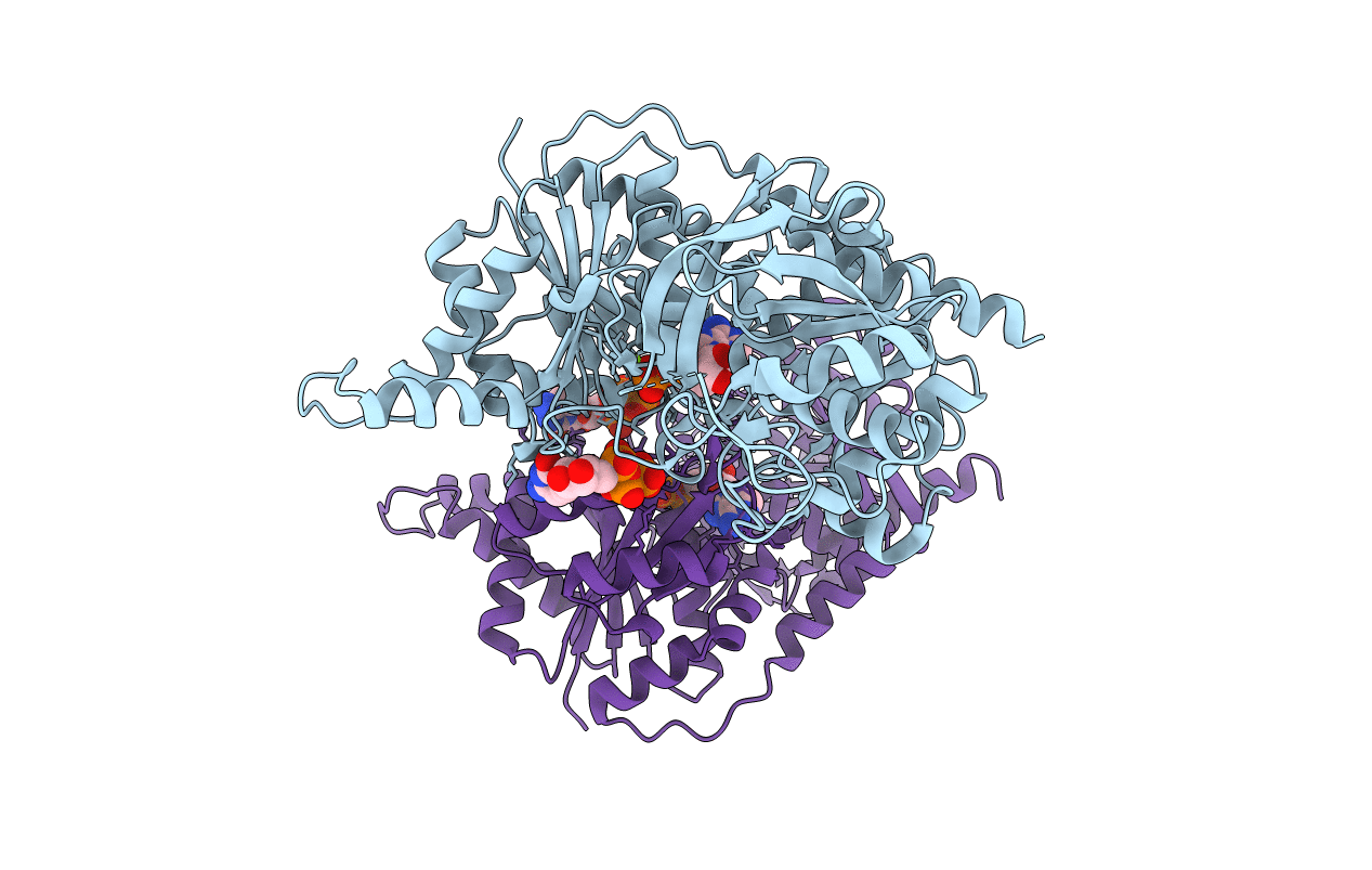 2AD5 image