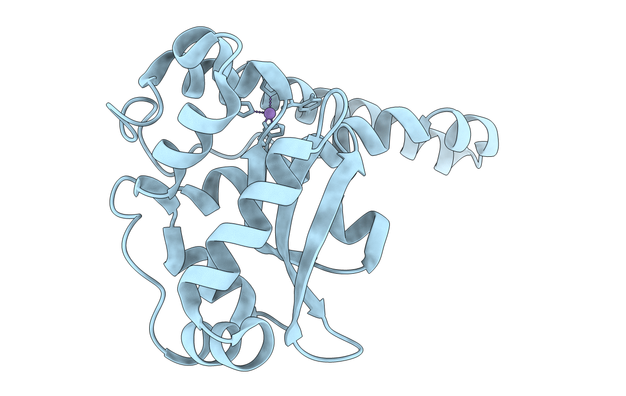 2ADP image