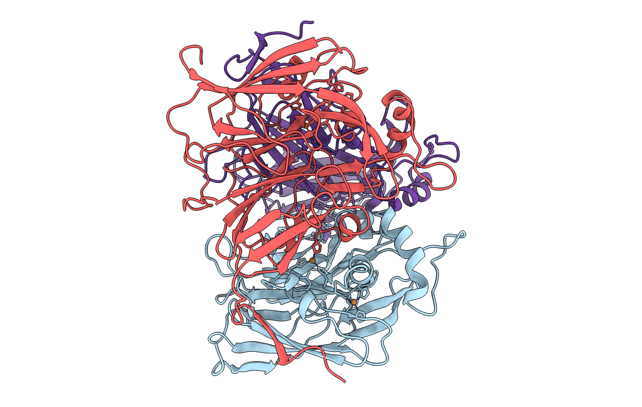 2AFN image