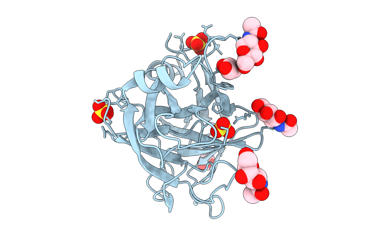 2AIP image