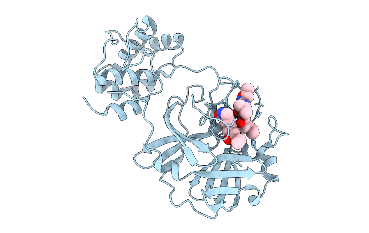 2ALV image