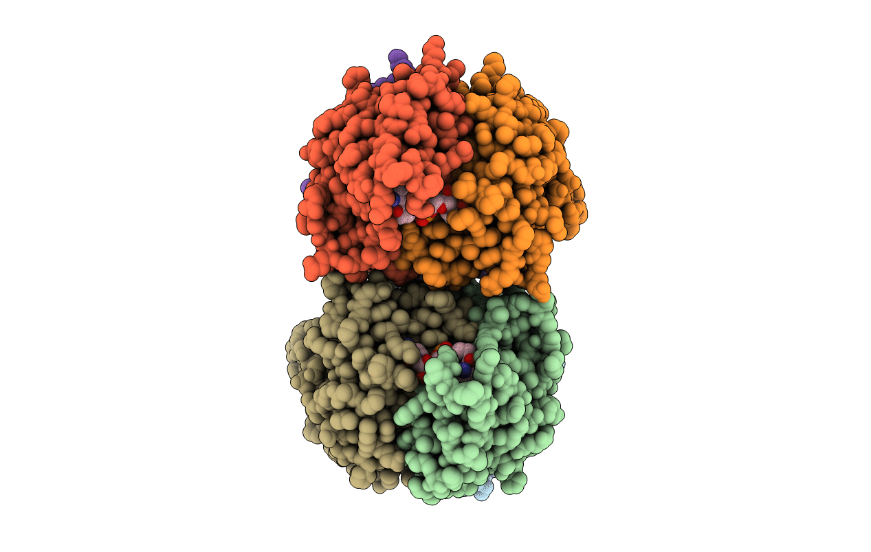 2AMT image