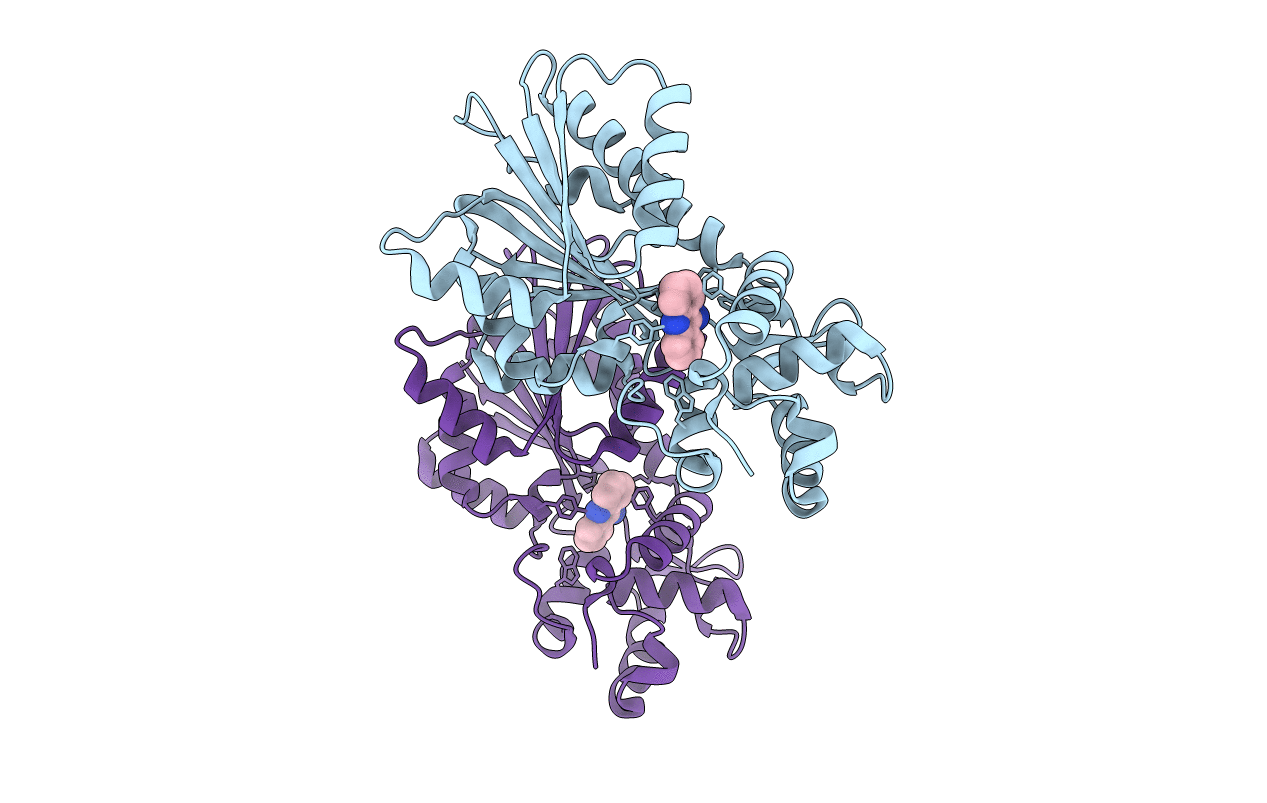 2AOX image