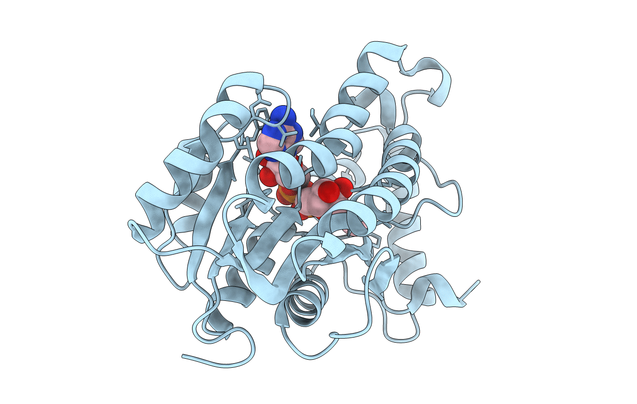 2AQK image