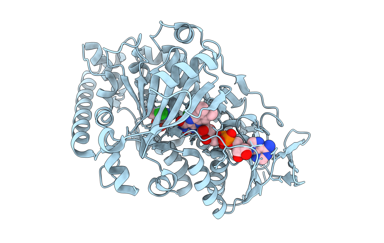 2AR8 image