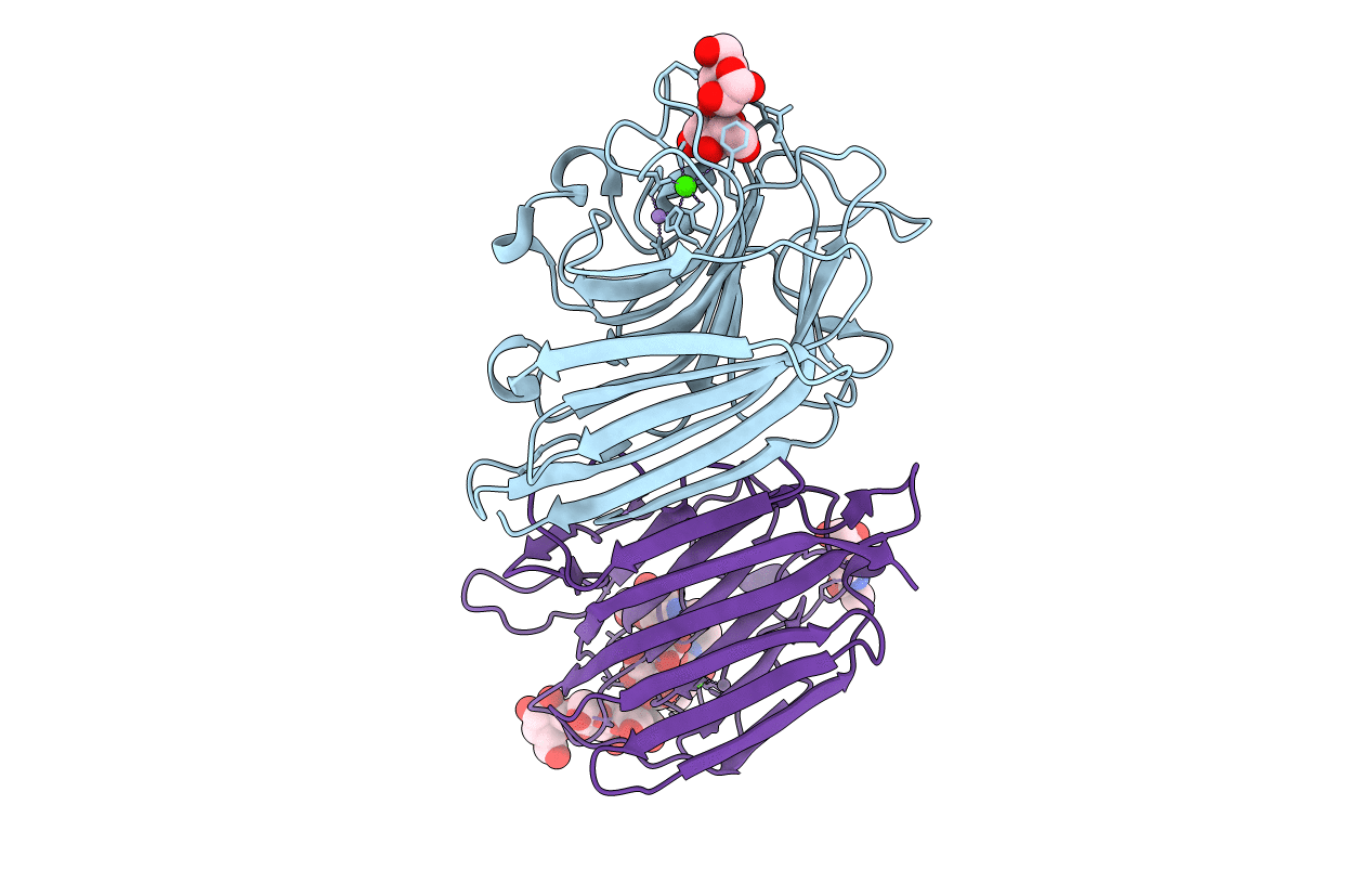 2ARX image