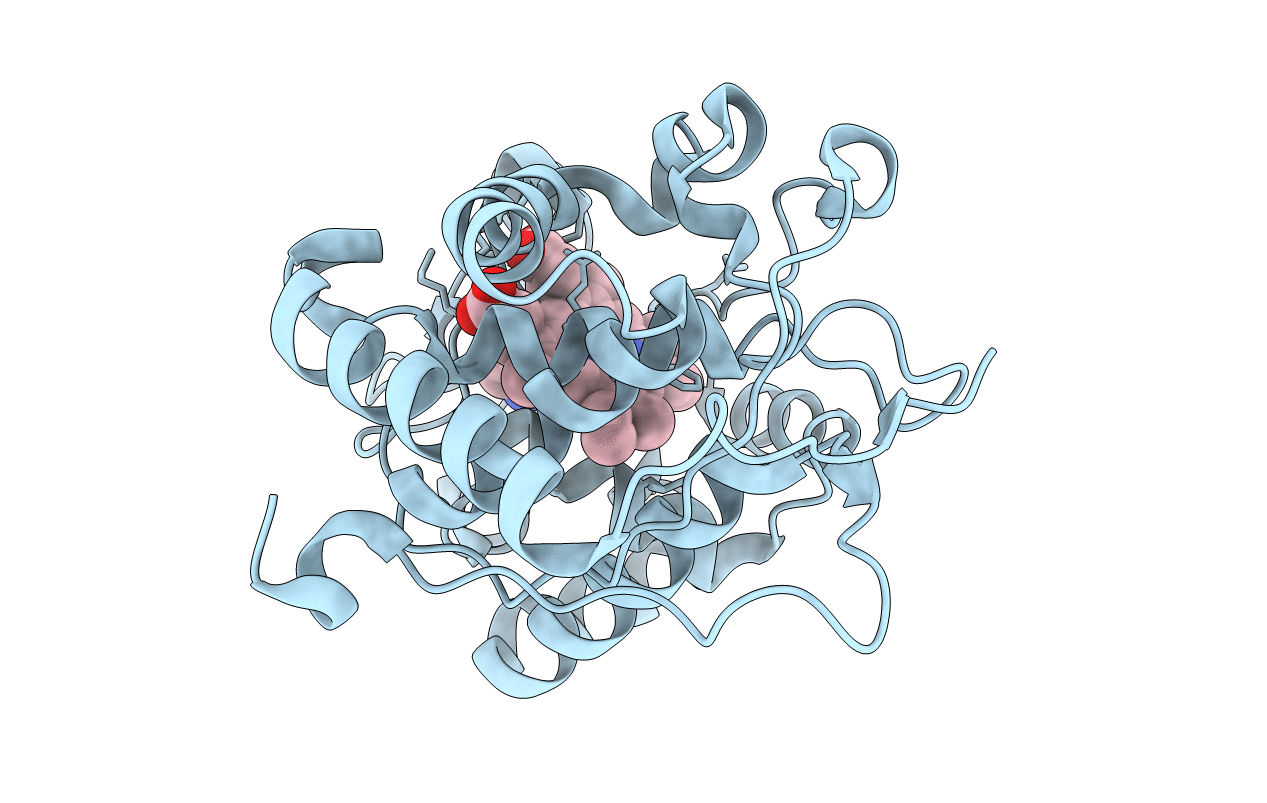 2AS2 image