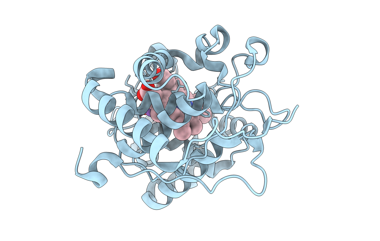 2AS3 image