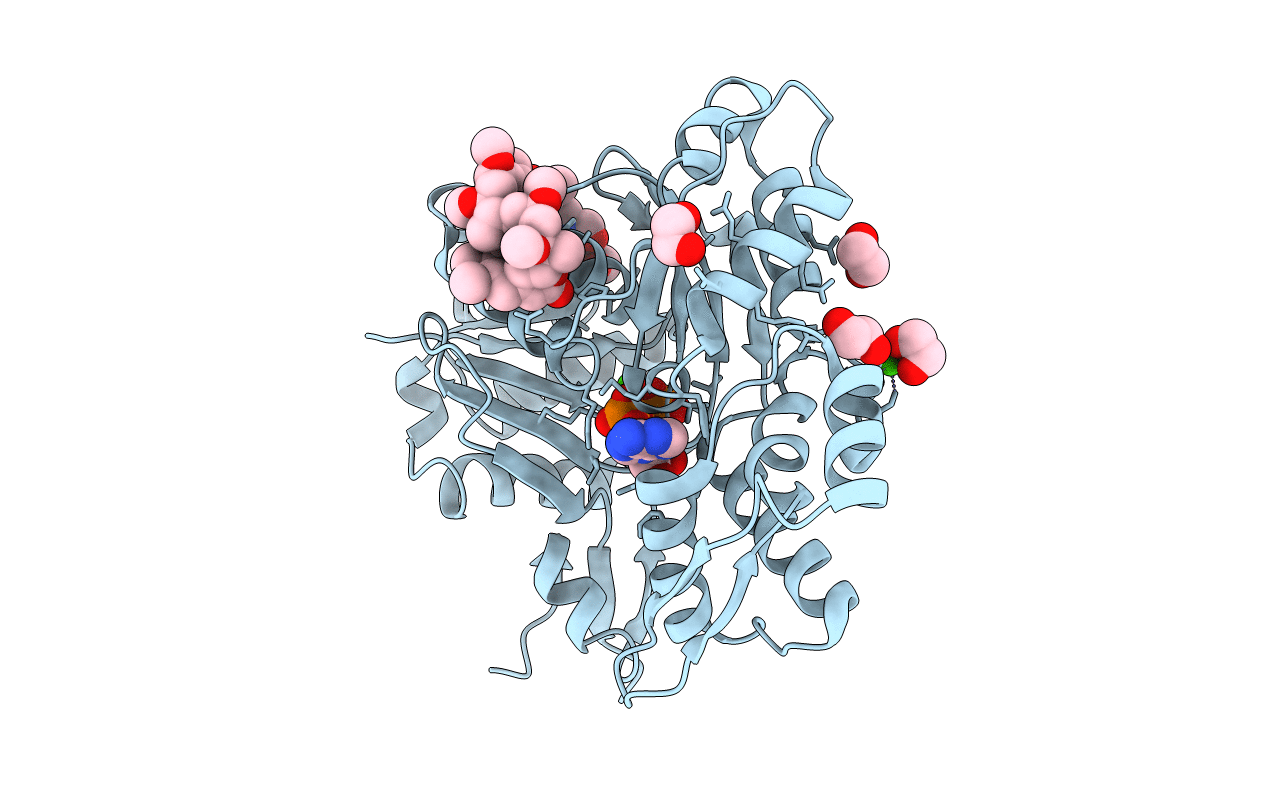 2ASM image