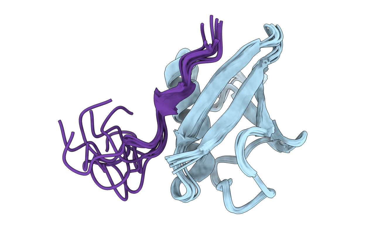 2ASQ image