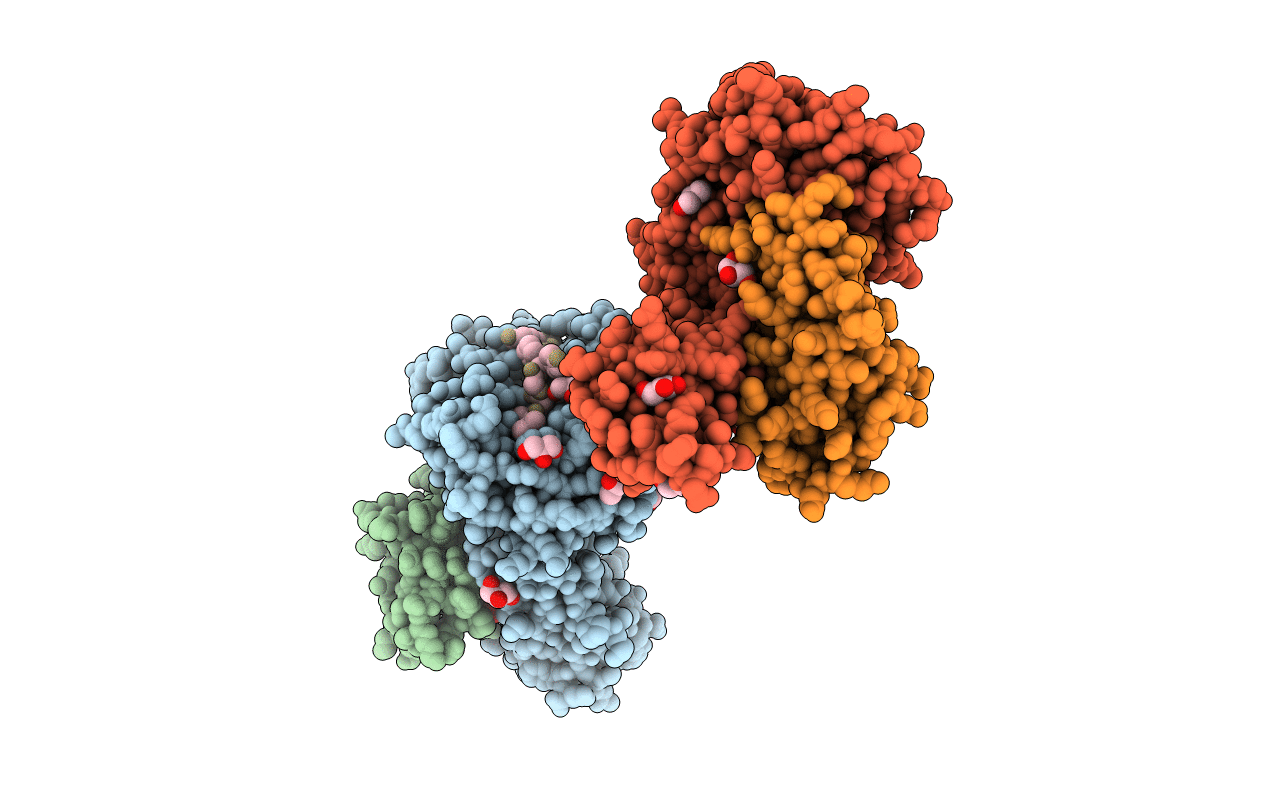 2AV1 image