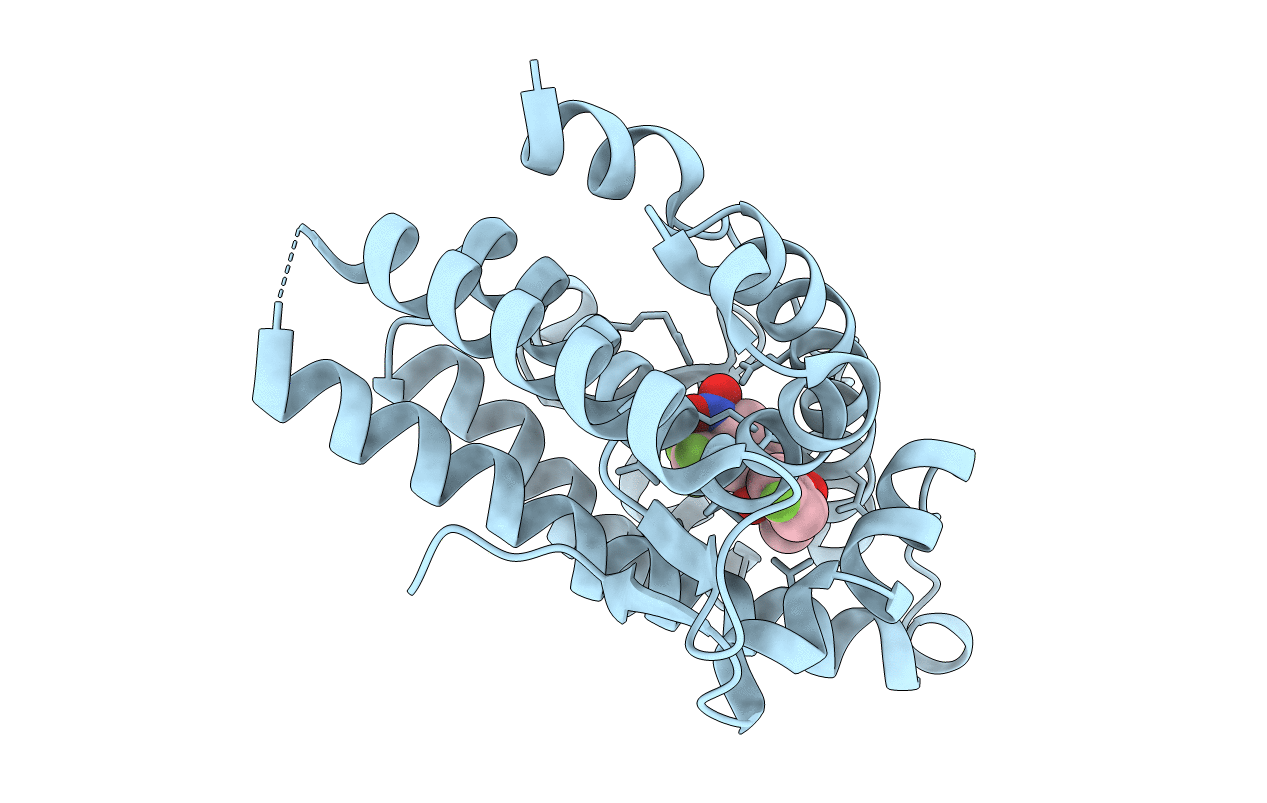 2AX8 image