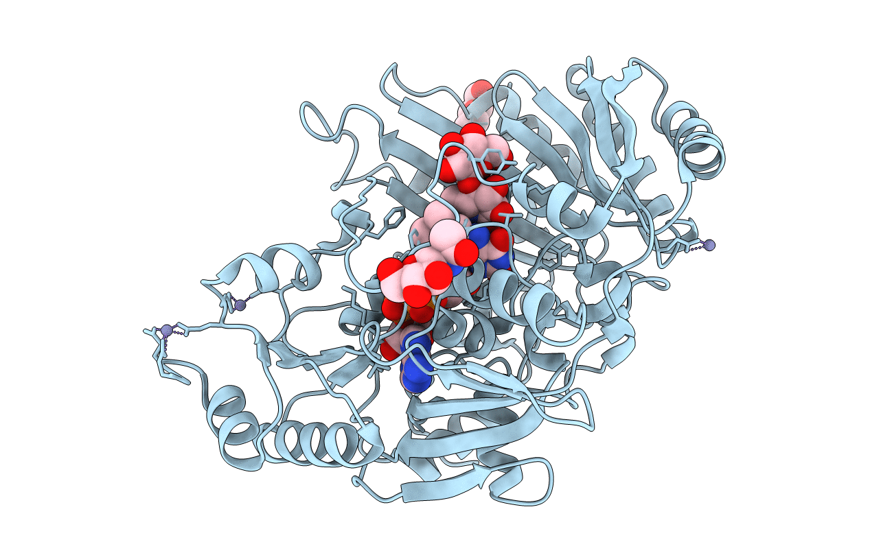 2AXR image