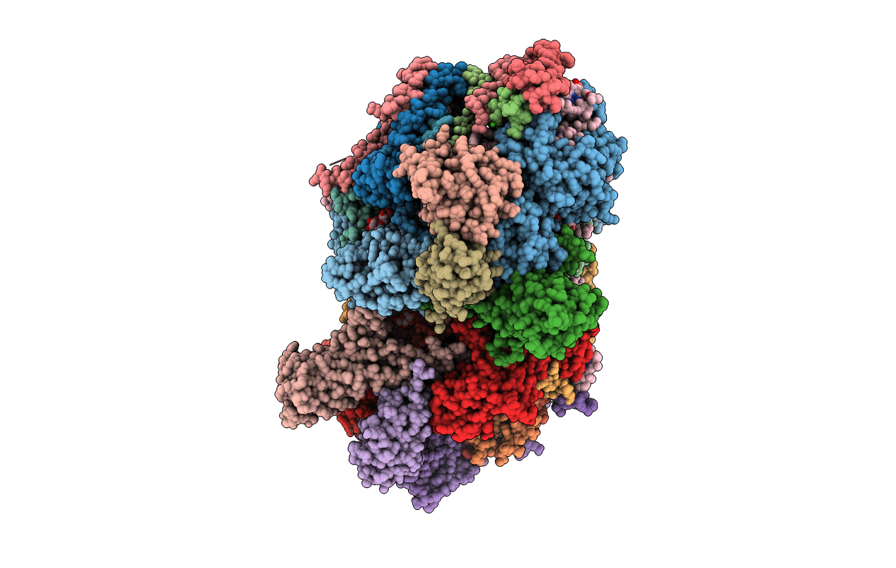 2AXT image