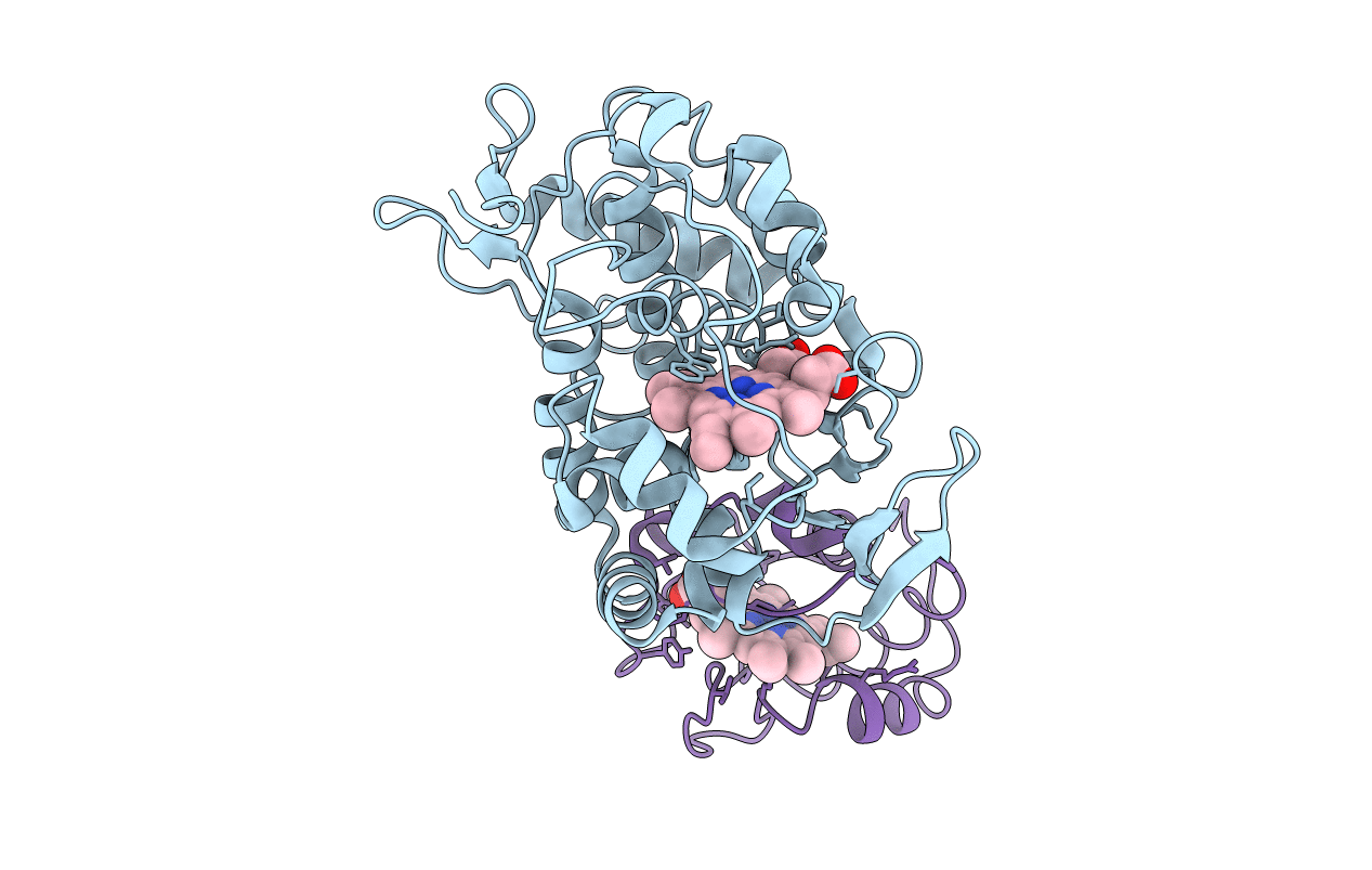 2B12 image