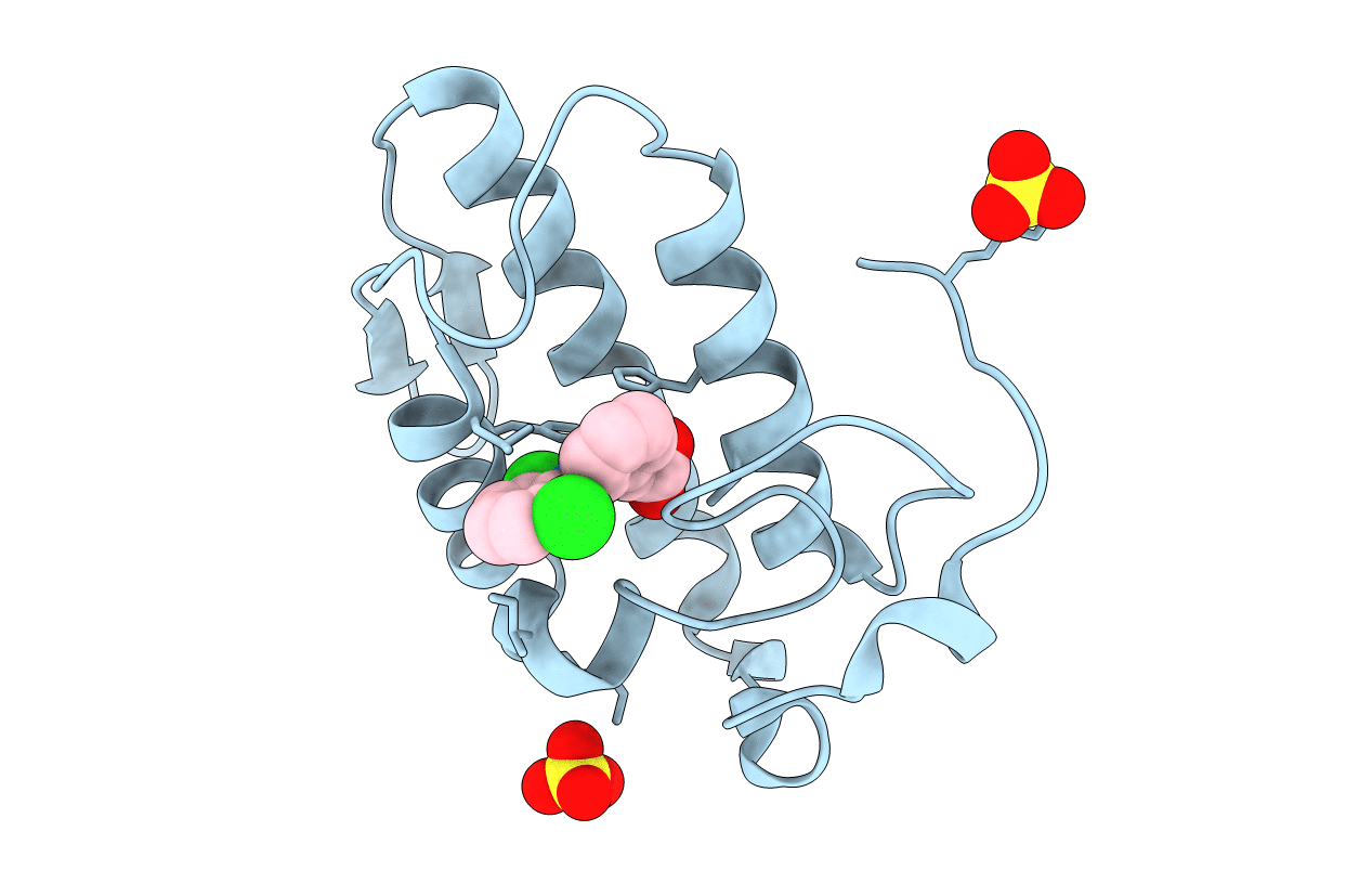 2B17 image