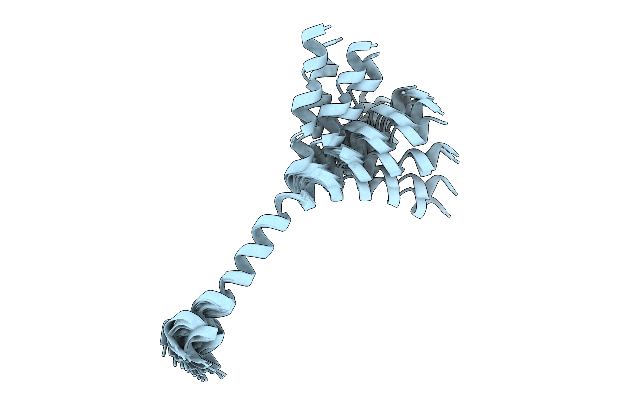 2B19 image