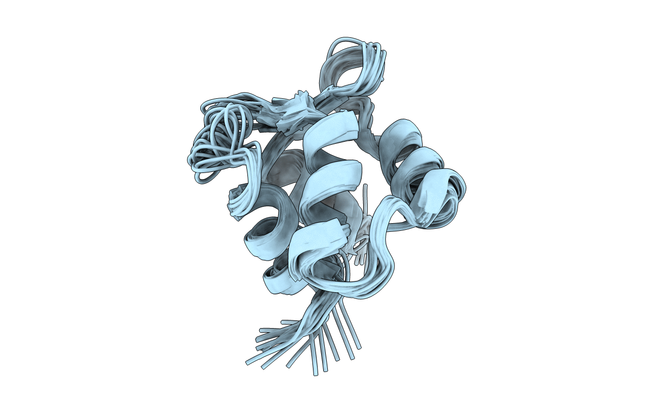 2B1U image