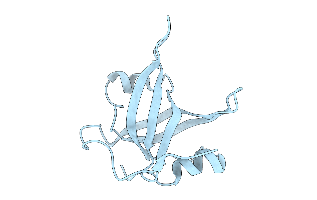 2B29 image