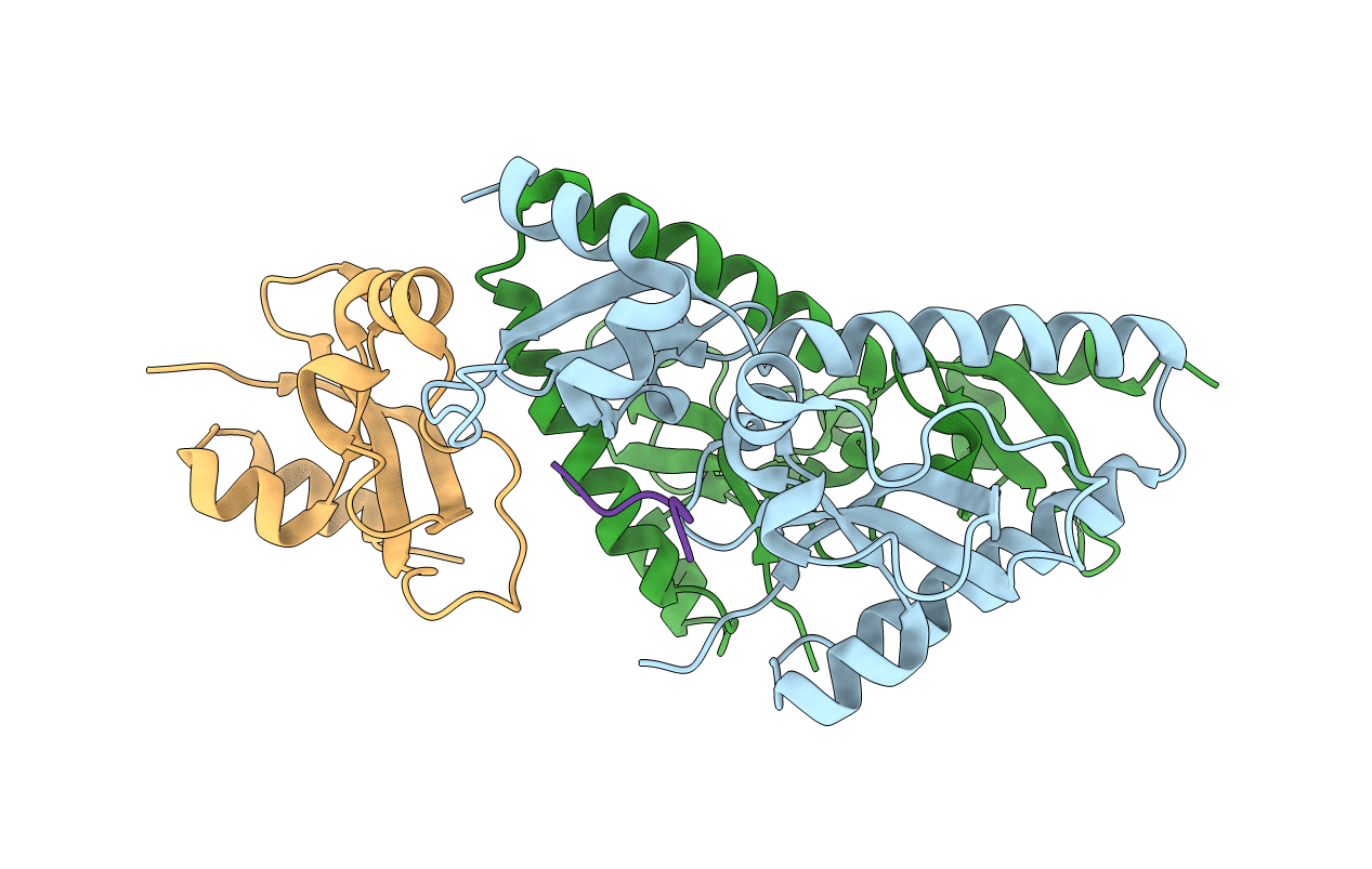 2B2V image