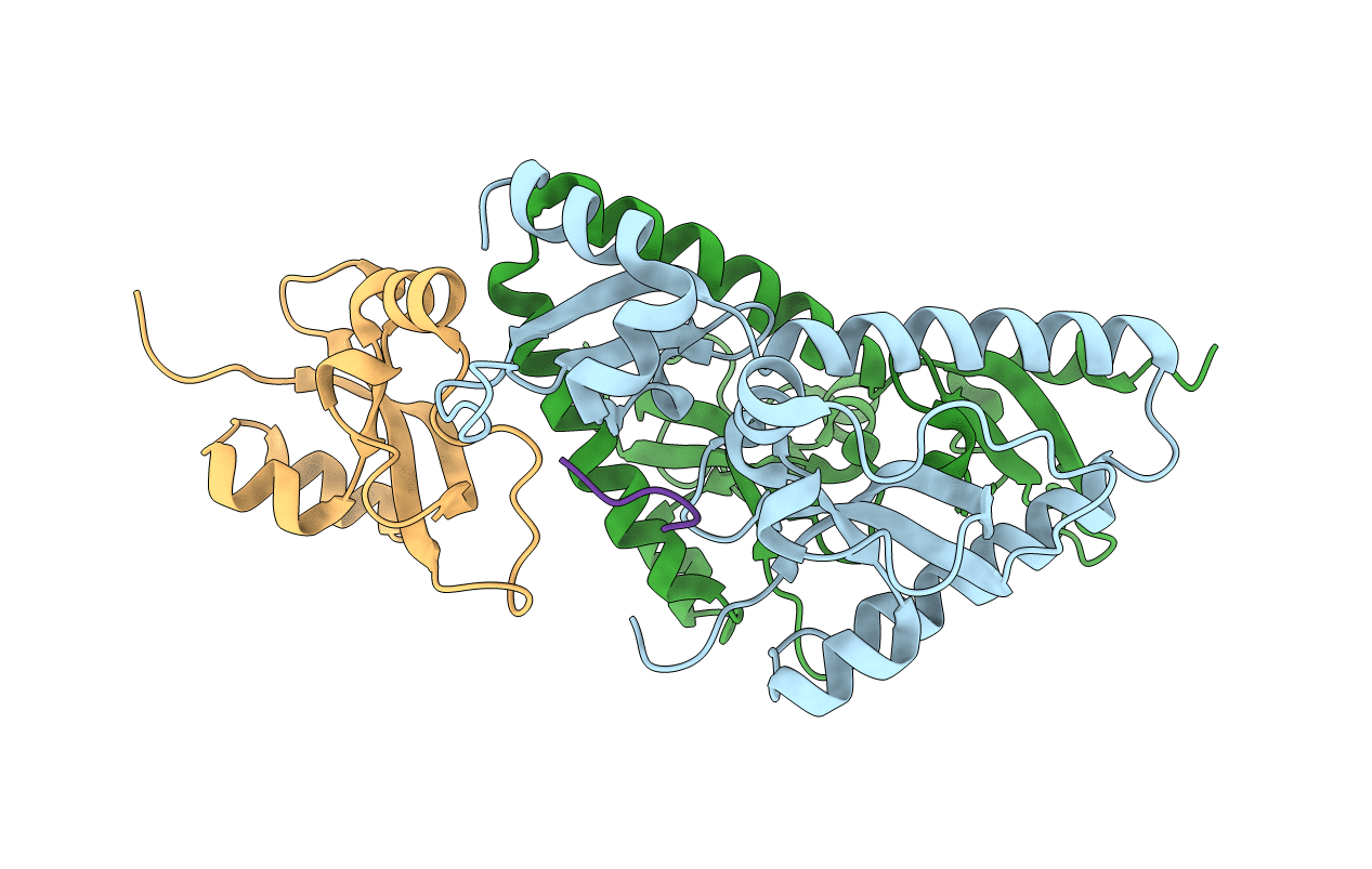 2B2W image