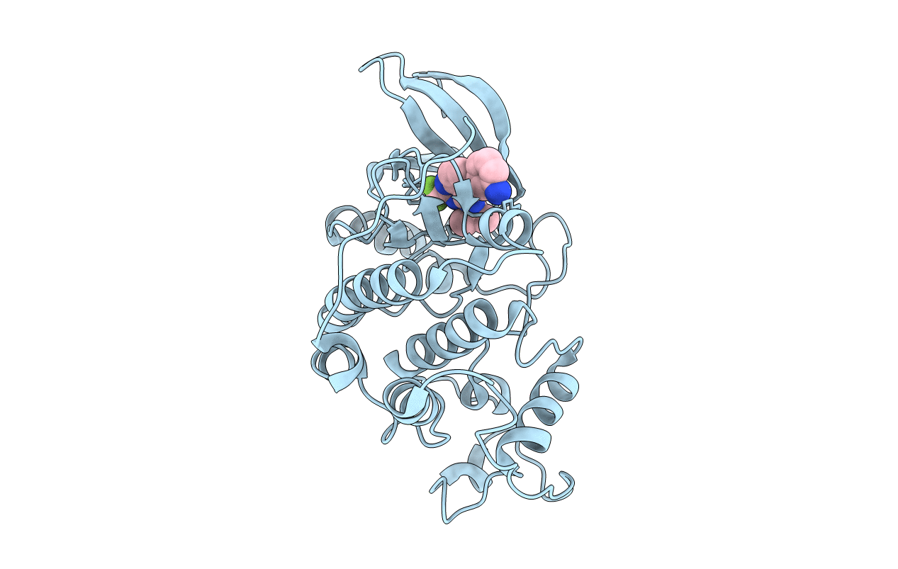 2B53 image