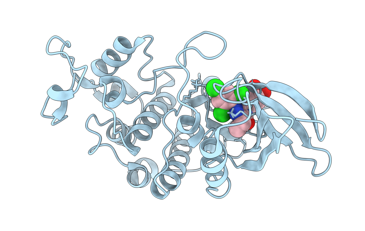 2B54 image