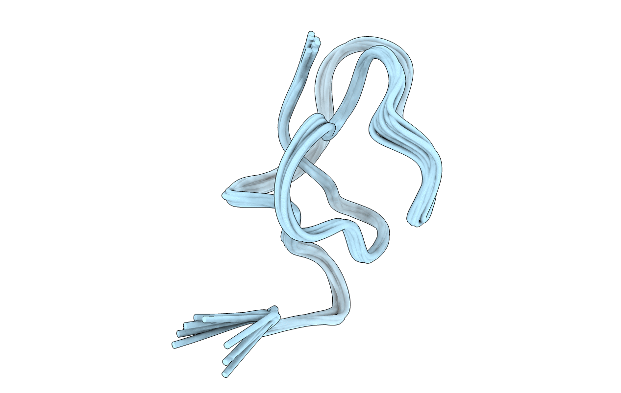 2B5B image