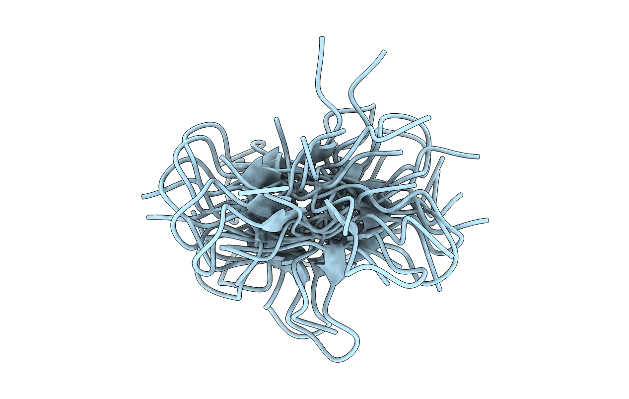 2B5K image