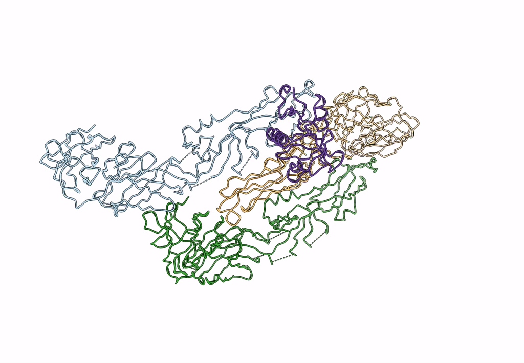 2B6B image