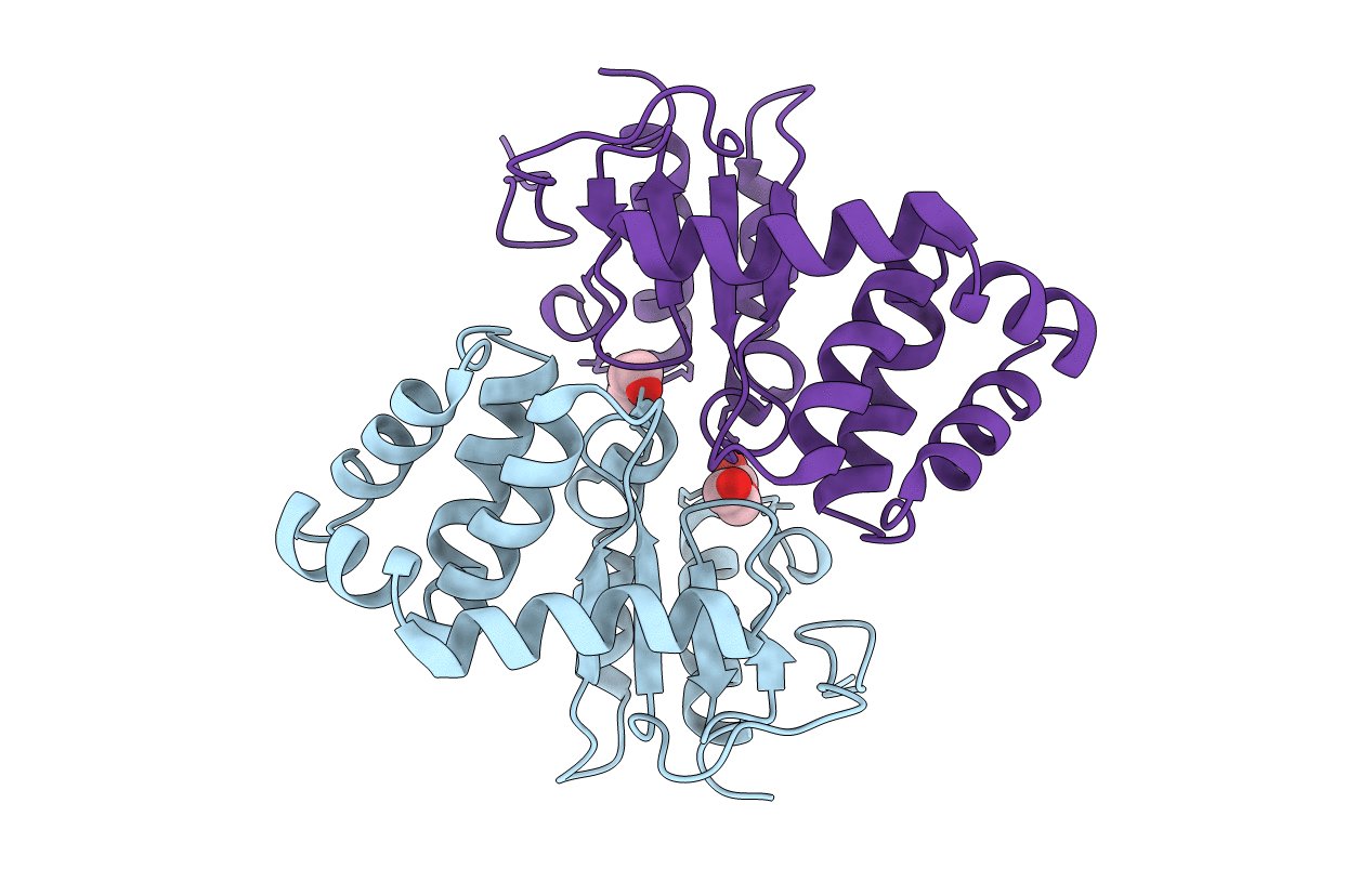 2B6M image