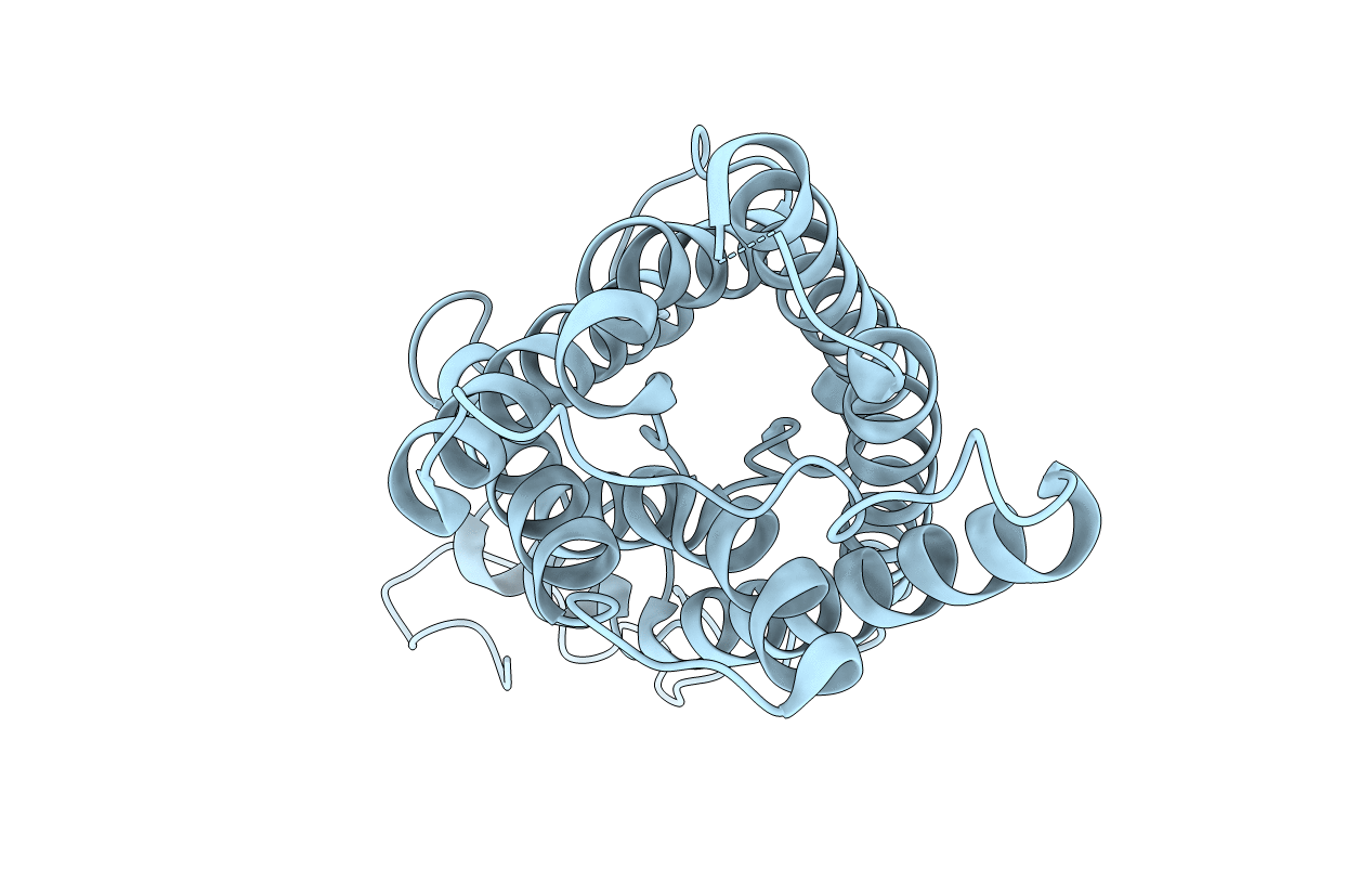 2B6P image