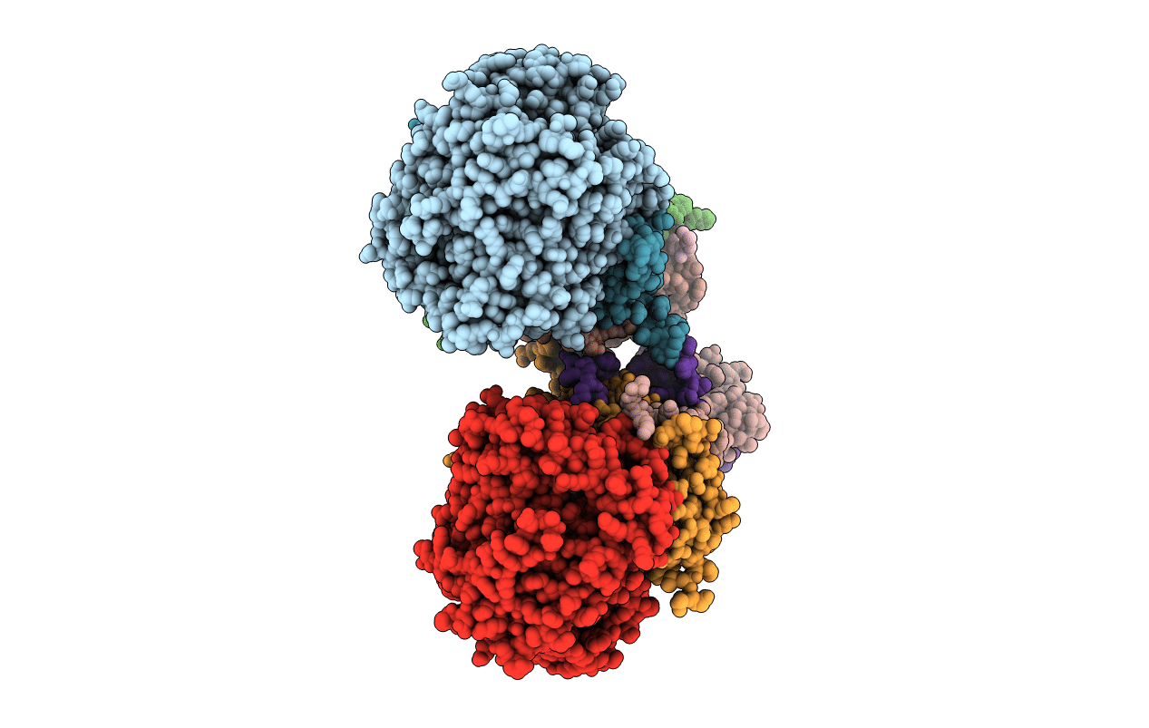 2B76 image