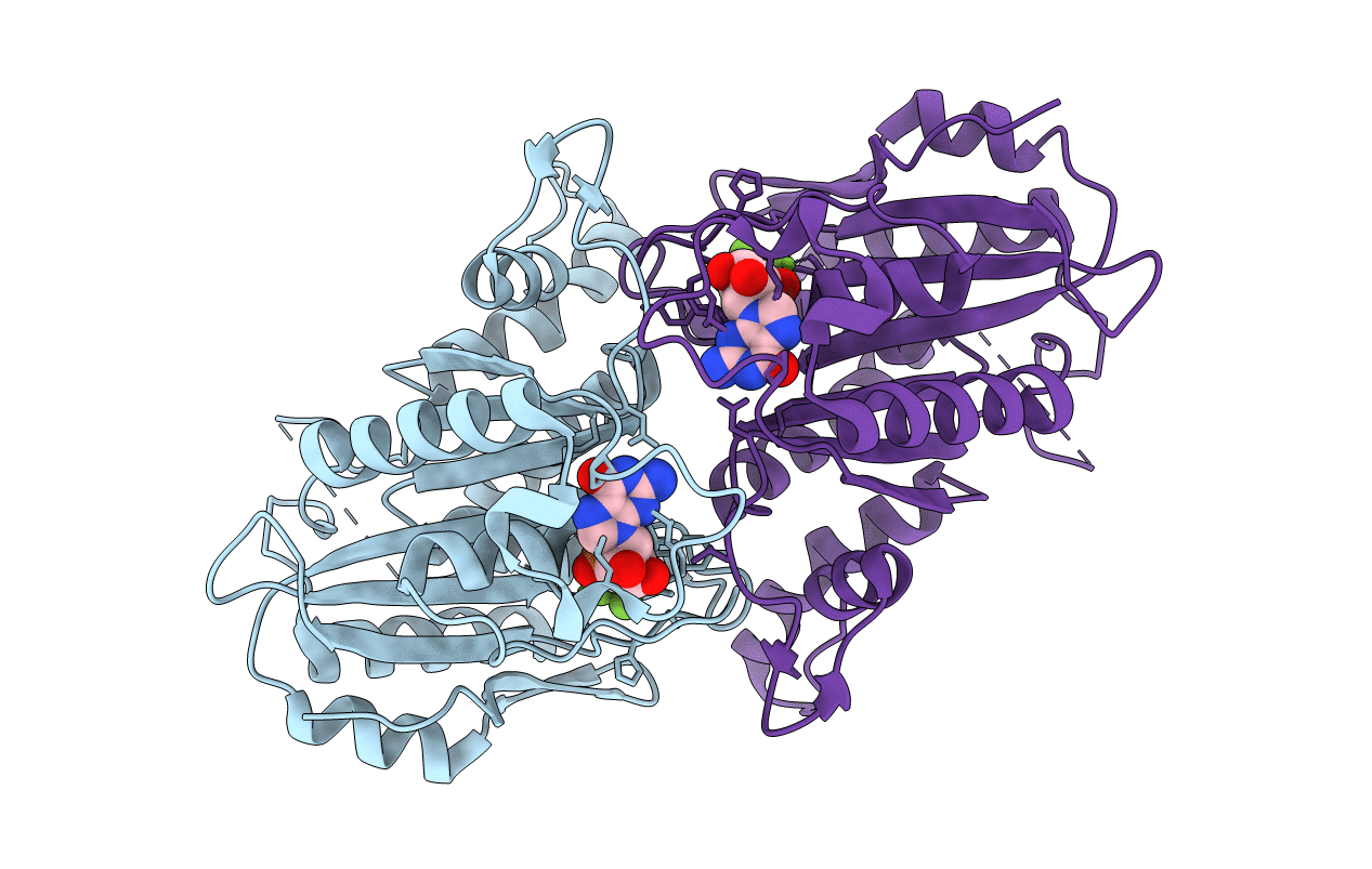 2B8W image