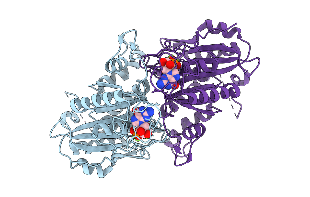 2B92 image