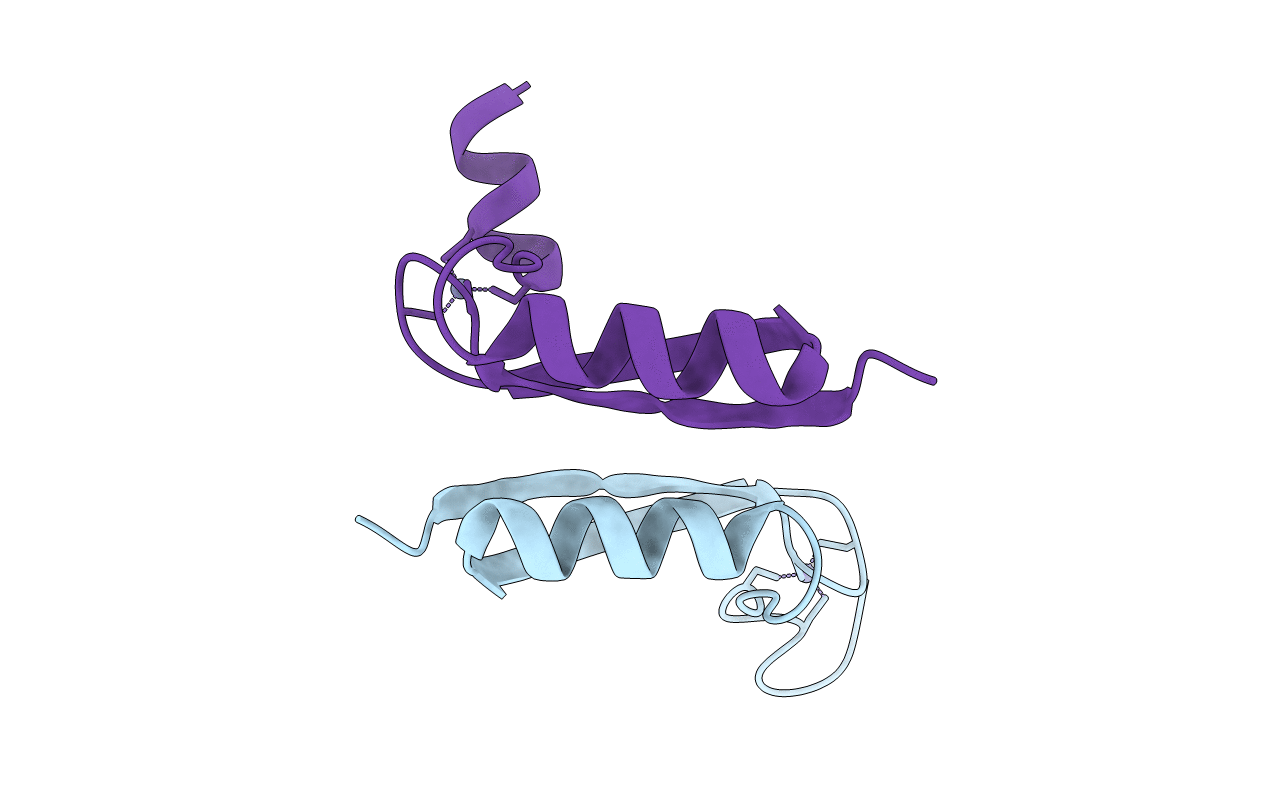 2B9D image