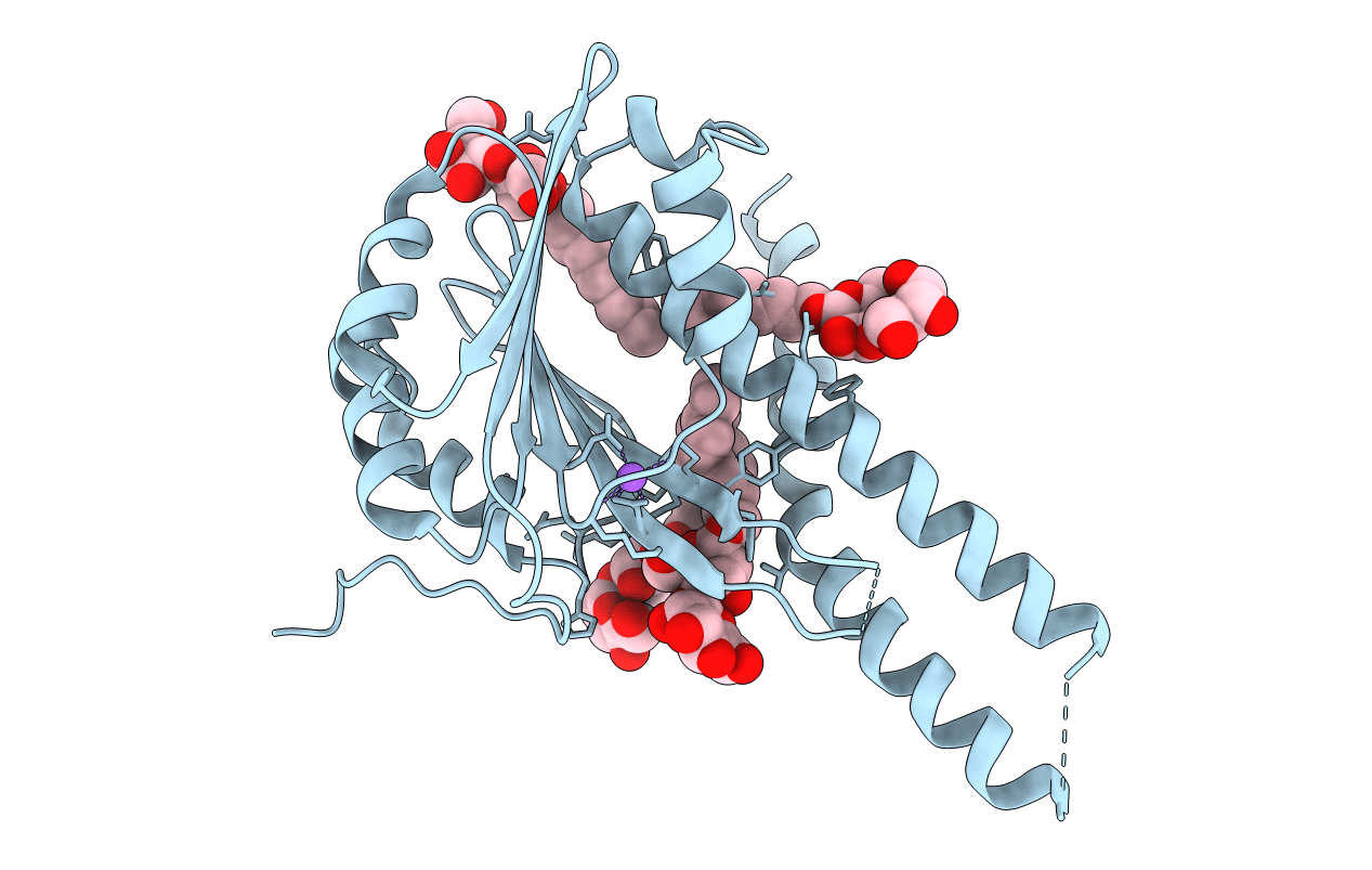 2BBH image