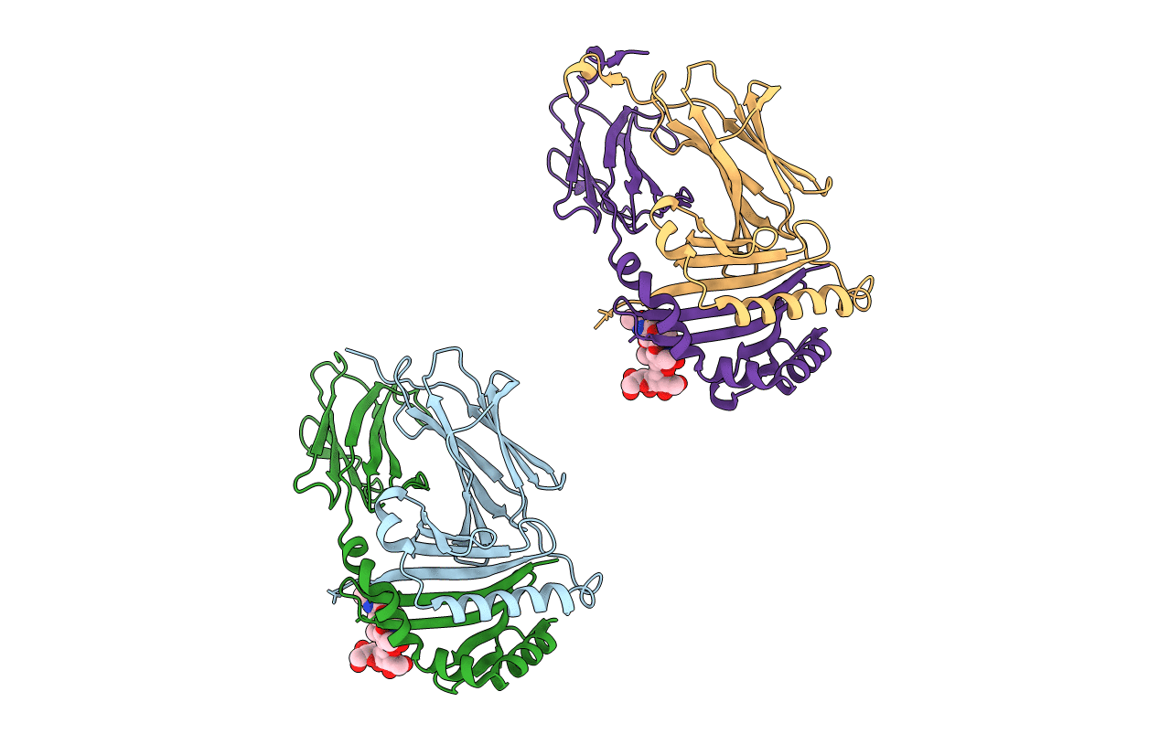 2BC4 image