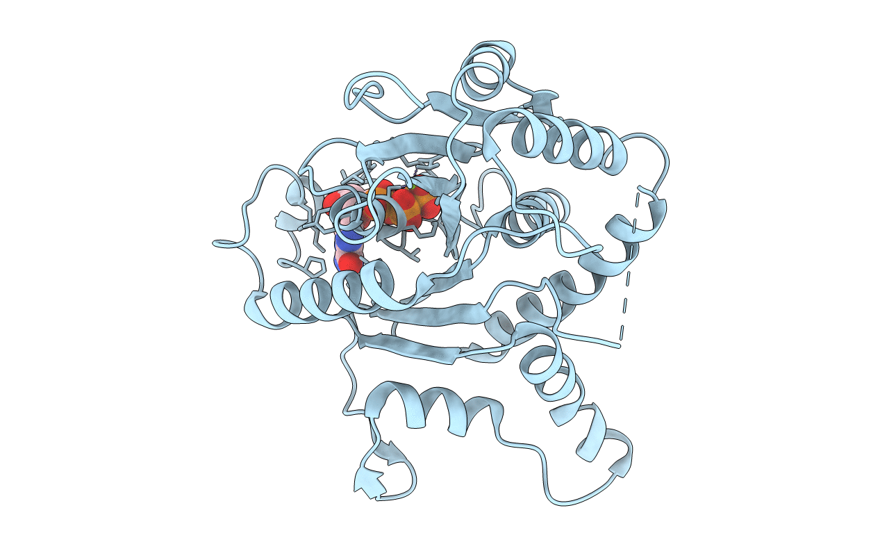 2BC9 image