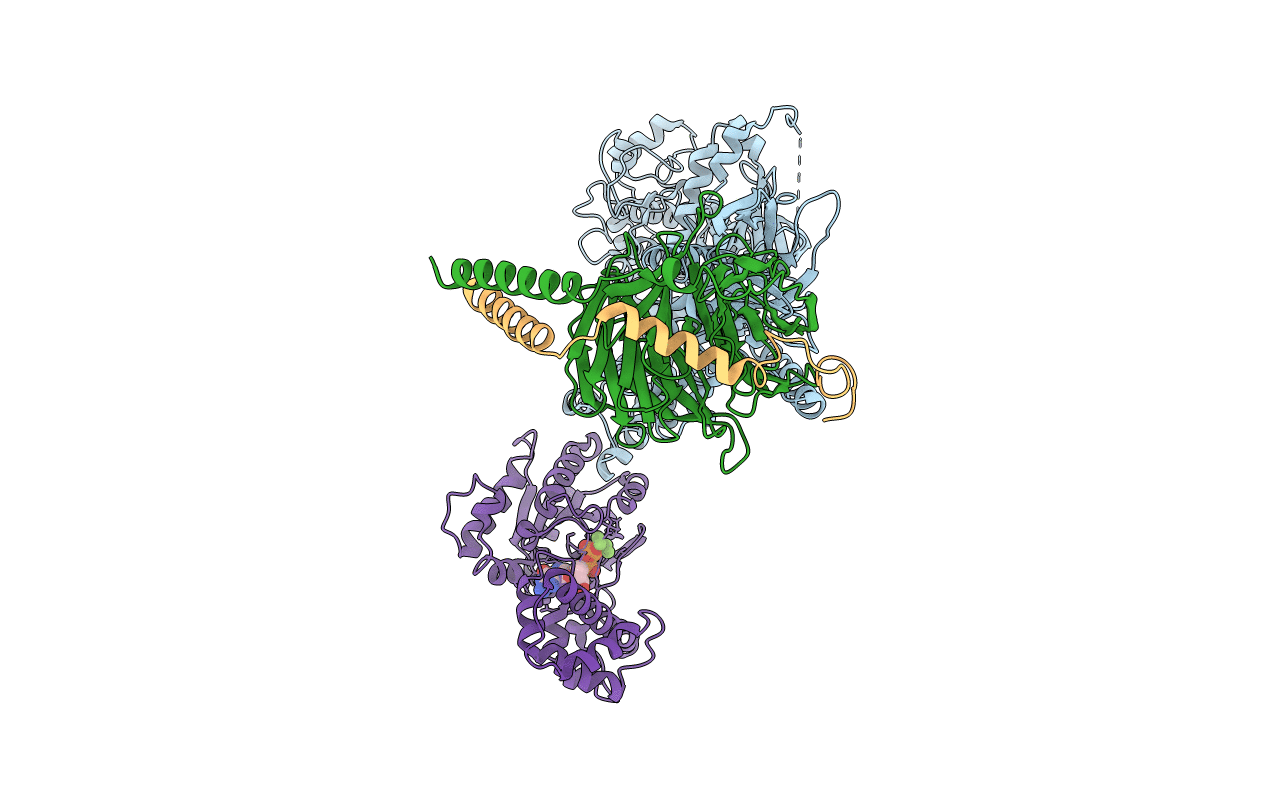 2BCJ image