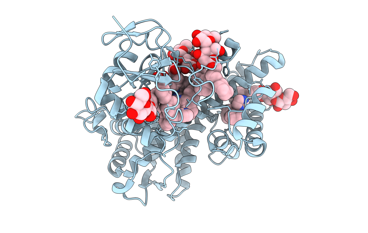 2BDM image