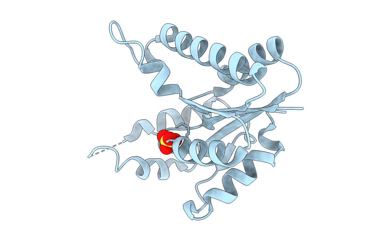 2BDT image